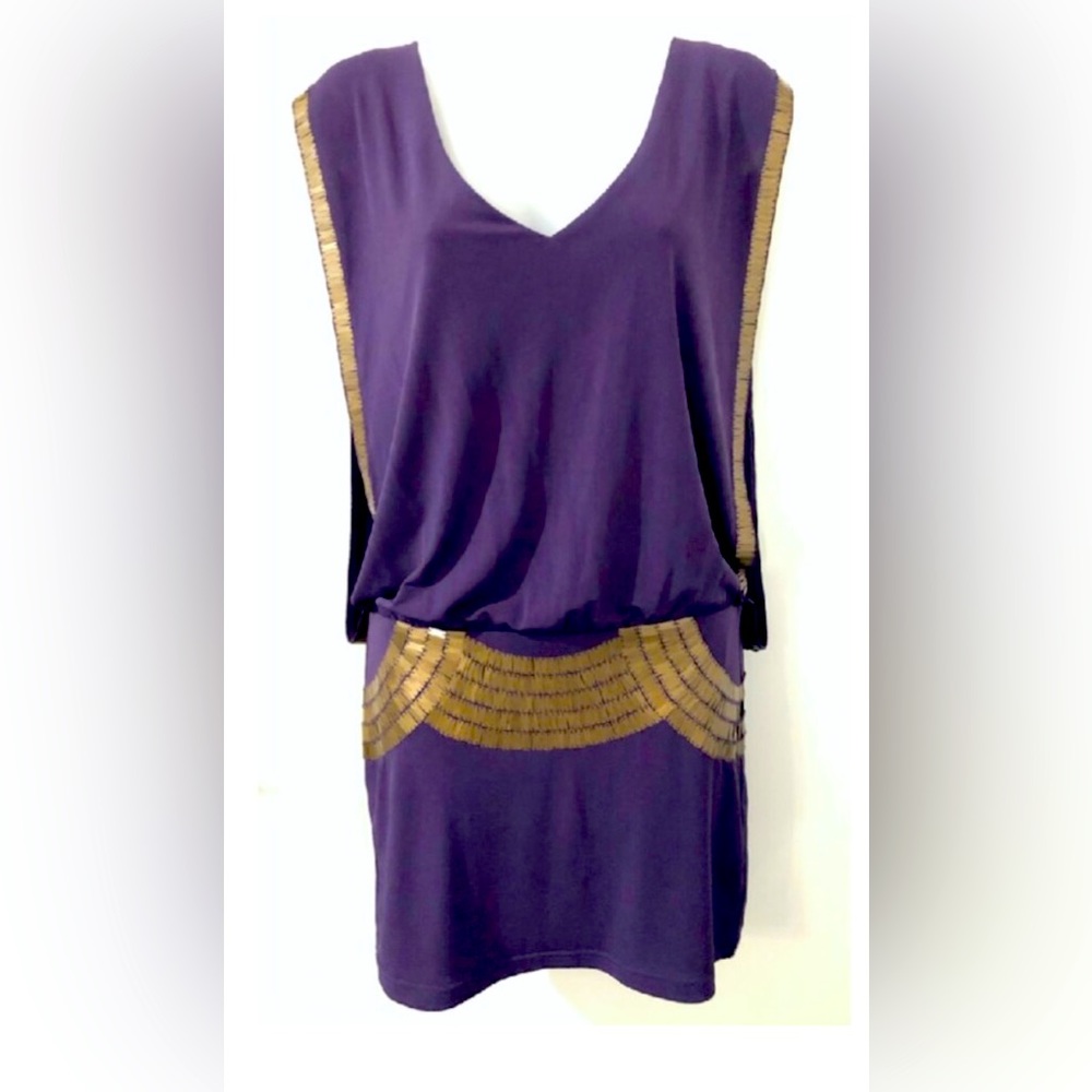 Bebe Purple & Gold Embellished Mini Dress